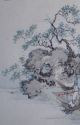 China Art: Chinese Ink Color Painting Qing Dynasty Song Zhang 宋璋 Paintings & Scrolls photo 3