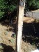 Antique Japanese Horseman ' S Whip Sword Fantastic Other photo 1