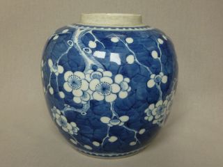 Antique Chinese C1700 Kangxi Period Blue & White Prunus Jar photo