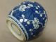 Antique Chinese C1700 Kangxi Period Blue & White Prunus Jar Vases photo 4