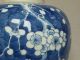 Antique Chinese C1700 Kangxi Period Blue & White Prunus Jar Vases photo 7