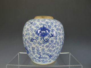 Chinese Kangxi Blue & White Ginger Jar photo