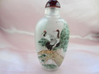 Chinese Snuff Bottle Red Crowned Cranes Folk Sunt Inner Painting Rrts By25 photo