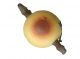 Chinese Interesting Peach Shaped Clay Teapot W/ Mark,  Water Goes From Bottom Teapots photo 4