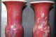 Chinese Rare Elegant Vases Vases photo 1