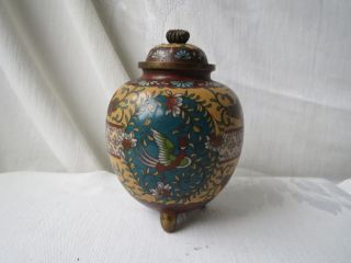 Japanese Cloisonne Meiji Period Rare Color Eagle Bird Footed Ginger Jar Vase photo