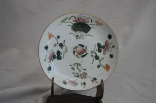 Tao Kuang Chinese Floral Porcelain Plate Or Saucer 1821 - 1851 App 5 - 1/4 