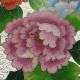 Chinese Cloisonne Plate - Peony & Bird Nr Plates photo 3