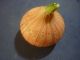 This Is A Very Unique Shoushan Stone Onion Seal Other photo 1