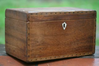 Early 19th C.  Georgian Period Wooden Tea Caddy With Intricate Inlay C1820 photo