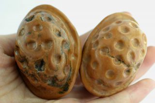 China Rare Collectibles Old Decorated Handwork Jade Carving Pair Nut Statue photo