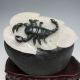 100% Natural Chinese Dushan Jade Hand - Carved Statue - - Scorpion Nr/nc1456 Other photo 3