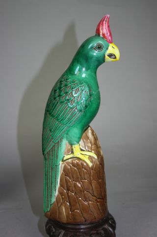 A Chinese Sancai Enameled Porcelain Parrot photo