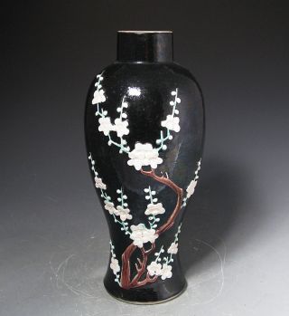 Antique Chinese Famille Noire Vase With Relief Prunus Blossoms photo