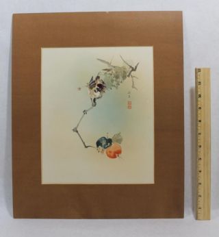 Circa 1900 Antique Riogetsu Japanese Woodblock Print,  Sparrows & Persimmons photo