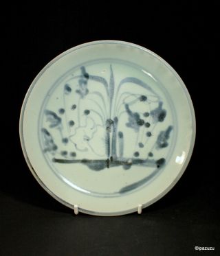 Chinese Antique Porcelain Blue & White Plate photo