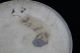 China ' S Rare Porcelain Plate Plates photo 2