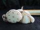 Hetian Jade Liancai,  Rope Wear In Inside,  On The Inside Of The Box Necklaces & Pendants photo 10