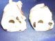 Vintage Rare Japanese Salt And Pepper Shakers Other photo 4