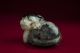 Chinese Antique Recumbent Jade Cat W/ Dragonfly 1910 Or Earlier Other photo 2