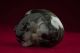 Chinese Antique Recumbent Jade Cat W/ Dragonfly 1910 Or Earlier Other photo 8