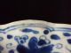 A Stunning Chinese Porcelain Plate,  Kangxi Period,  Several Fish,  Marked Plates photo 11
