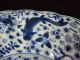 A Stunning Chinese Porcelain Plate,  Kangxi Period,  Several Fish,  Marked Plates photo 1