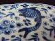 A Stunning Chinese Porcelain Plate,  Kangxi Period,  Several Fish,  Marked Plates photo 3