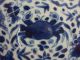 A Stunning Chinese Porcelain Plate,  Kangxi Period,  Several Fish,  Marked Plates photo 5