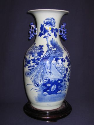 Antique Chinese Vase,  Qing Dynasty photo