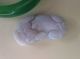 Hand Craved Natural Jadeite Pendant Other photo 2