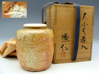 Japanese Good Shigaraki Ware Chaire Tea Caddy By Master Kishimoto Kennin photo