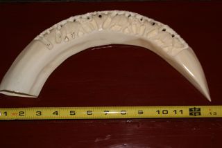 Finely Carved 