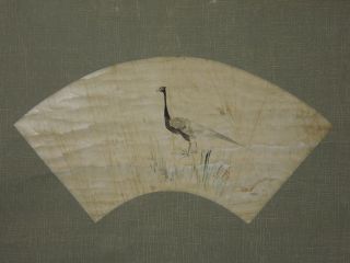 400 Japanese Jiku Kakejiku Hanging Scroll Japan　art A Sector Pheasant photo