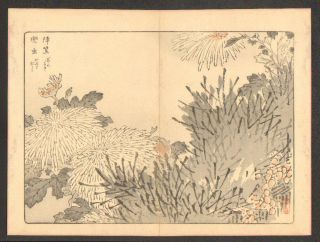 Bairei Kono - 1890s Japanese Woodblock Print photo
