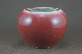 Chinese Monochrome Red Glaze Porcelain,  Water Pot photo