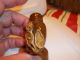 Carved Snuff Bottle - Fish And Lilly Pods - Brown Shaded Agate And Wood Root Base Snuff Bottles photo 2