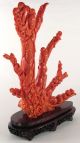Huge Antique Chinese Carved Red Coral Statue,  Woman (quan - Yin) And Children Men, Women & Children photo 11