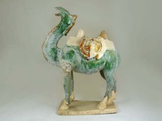 Chinese Tang Style 3 Color Small Pottery Camel photo