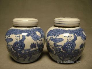 Exquisite Pair Of Blue And White Porcelain Pot With 
