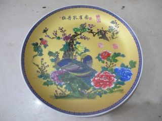 Ancient Porcelain Plates Chinese Luoyang Penoy Peafowl Exquisite 05 photo