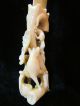 Detailed 19thc Carved Bone Page Turner.  Mother & Cub Foxes Lovely & Rare Other photo 1