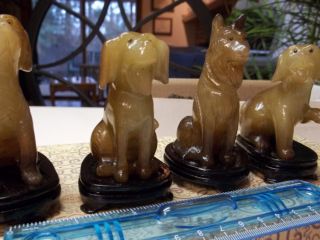 Hand Carved Happy Dogs W/box Excellent Carving photo