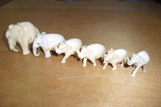 Antique Rare Faux Ivory Elephant Collection From 1880s photo
