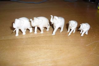 Antique Rare Faux Ivory Elephant Collection From 1880s photo