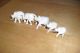 Antique Rare Faux Ivory Elephant Collection From 1880s Other photo 1