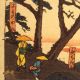 Japanese Woodblock Print Hiroshige Tokaido Series Ca.  1850 Edo Period Japan Prints photo 3