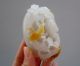 100% Fine Chinese Pick Carve Huanglong Jade Dragon Bats Rat Statue Nr Other photo 2