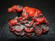 Unique Chinese Red Lacquer Oxen Statue Gorgeous & Stunning Best Of Luck Oxen photo 4