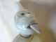 Antique Chinese Porcelain Monkey Figure With Moving Head And Tongue Other photo 4